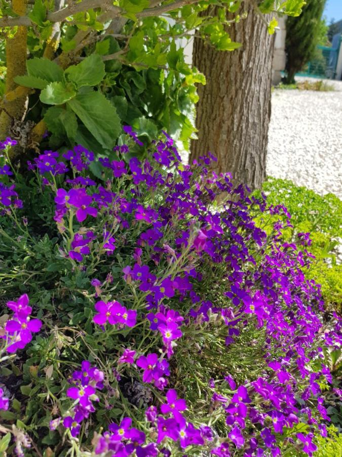 Camping Calme Et Nature Castellane Exterior foto