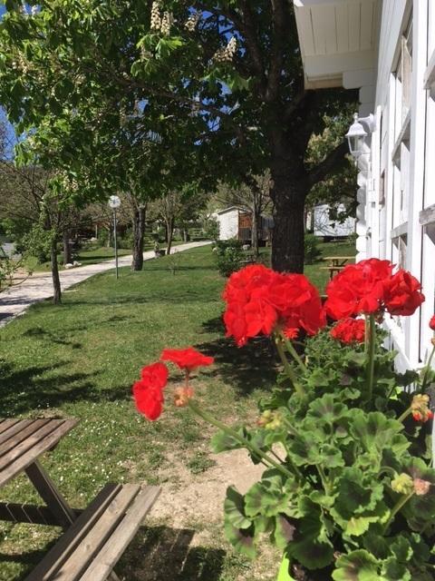 Camping Calme Et Nature Castellane Exterior foto